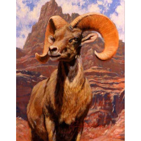 Unkar Creek-Big Horn