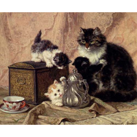 Teatime For Kittens