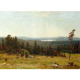 A Lakeside Forest