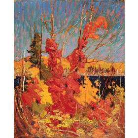 Autumn Foliage