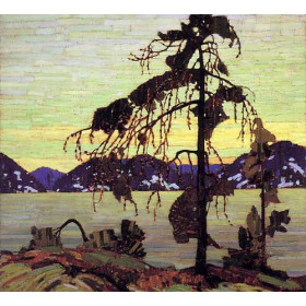 The Jack Pine