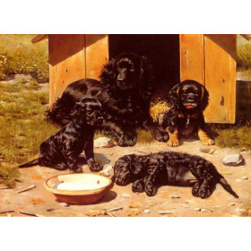 The Tired Family