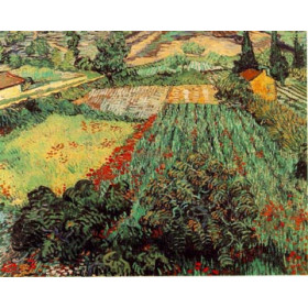 Field of Poppies