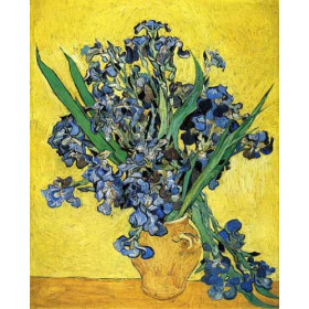 Irises (Amsterdam)