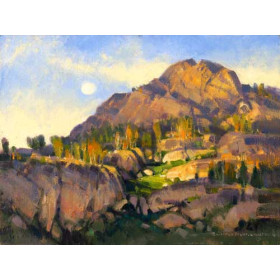 Arizona Landscape