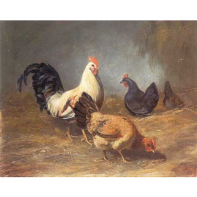 Arthur Fizwilliam Tait - Poultry Feeding, Chickens