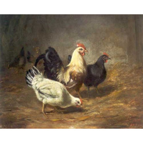 Arthur Fizwilliam Tait - Poultry Feeding, Chickens