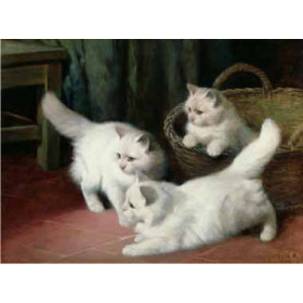 Arthur Heyer - Three White Angora Kittens