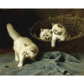 Arthur Heyer - White Angora Kittens with a Beetle