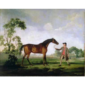 George Stubbs - The Duke of Ancasters Bay Stallion Spectator, Held by a Groom