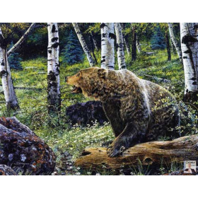 Grizzly Bear