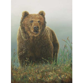 Grizzly Bear