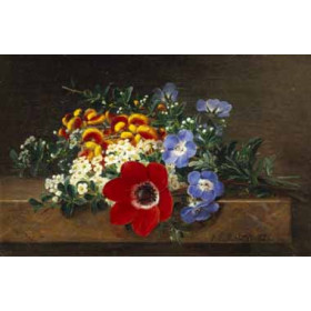 Johan, Laurentz Jensen - Anemone, White Spirea, Calceolaria and Blue Geranium