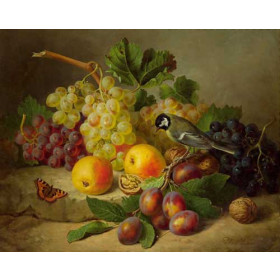 Josef Lauer - Still Life with Fruit Great Tit and Butterfly