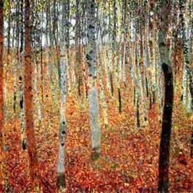 Klimt, Gustav(Austria) - Forest of Beech Trees