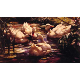 Koester, Alexander(Germany) - Ducks in a Forest Pond