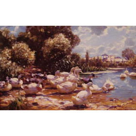 Koester, Alexander(Germany) - Midday Swim