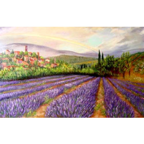Lavender Field
