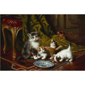 Leon Huber - Waiting For More