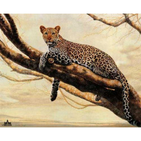 Leopard on the Tree