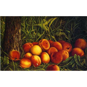 Levi Wells Prentice - Peaches