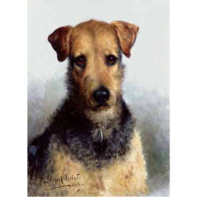 Lilian Cheviot - Wire Fox Terrier