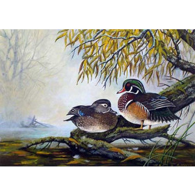 Mandarin Ducks