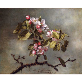 Martin Johnson Heade - Apple Blossoms and Hummingbird