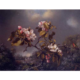 Martin Johnson Heade - Apple Blossoms and Hummingbird