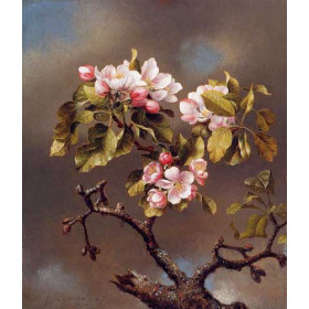 Martin Johnson Heade - Branch of Apple Blossoms against a Cloudy Sky