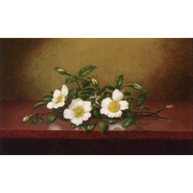 Martin Johnson Heade - Cherokee Roses on a Shiney Table