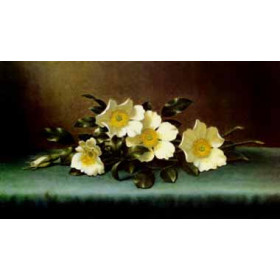 Martin Johnson Heade - Four Cherokee Roses