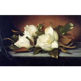 Martin Johnson Heade - Giant Magnolias