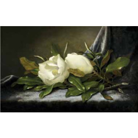 Martin Johnson Heade - Giant Magnolias on a Light Blue Velvet Cloth