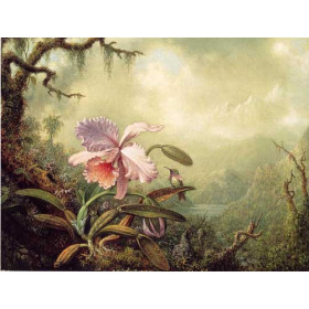 Martin Johnson Heade - Heliodores Woodstar and a Pink Orchid