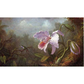 Martin Johnson Heade - Hummingbird and Orchid