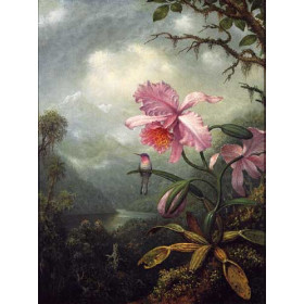 Martin Johnson Heade - Hummingbird Perched on an Orchid Plant