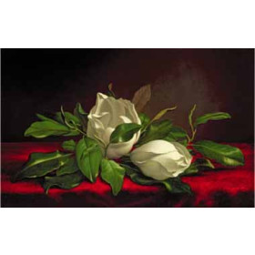 Martin Johnson Heade - Magnolia