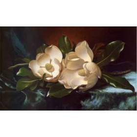 Martin Johnson Heade - Magnolias on a Blue Velvet Cloth