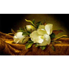 Martin Johnson Heade - Magnolias on Gold Velvet Cloth