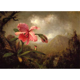 Martin Johnson Heade - Orchid and Hummingbird near a Mountain Waterfall