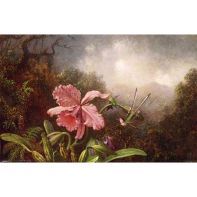 Martin Johnson Heade - Two Hummingbirds and Orchid