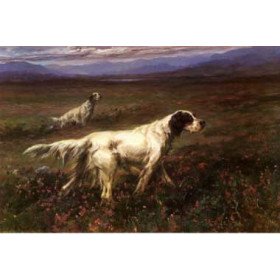 Maud Earl - Setters on the Moors