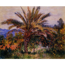 Monet, Claude - A Palm Tree at Bordighera