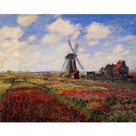 Monet, Claude - Field of Tulips in Holland