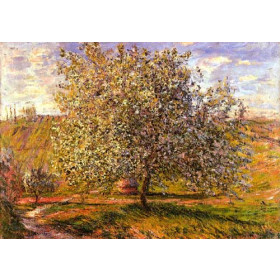 Monet, Claude - Tree in Flower near Vetheuil