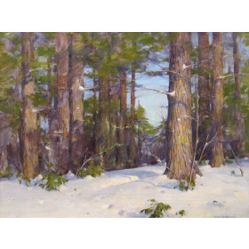 Winter Light and Shadow