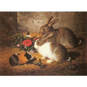 Two Rabbits And A Guinea Pig