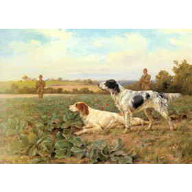 In The Field, Shooting