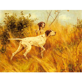 Two Pointers In A Landscape